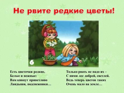 Этот цветок был когда то