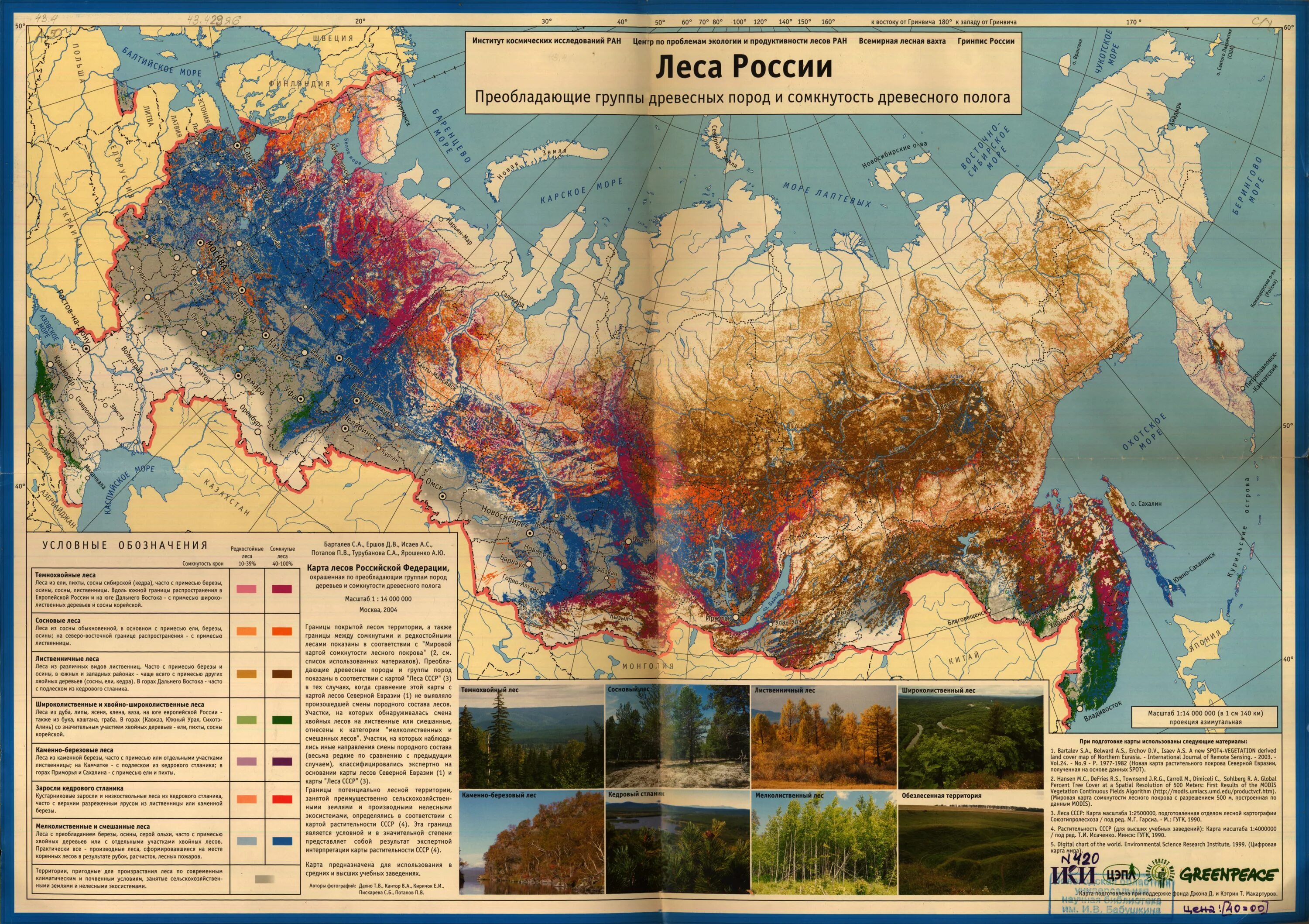 Растительная карта россии. Виды лесов в России карта. Карта лесов центральной России. Карта лесных пород России. Карта лесов европейской части России.