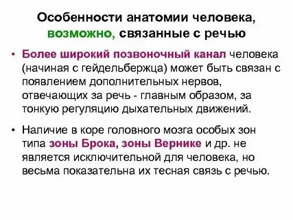 Слова связанные с выступлением