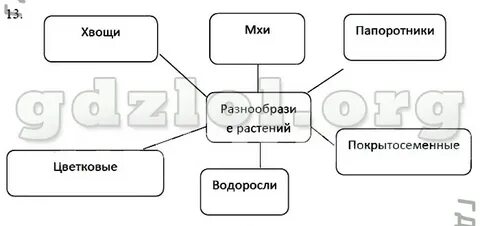 Окружающий мир 3 класс рабочая тетрадь шилин