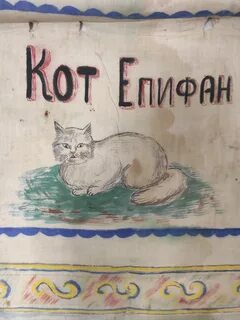 История и котики