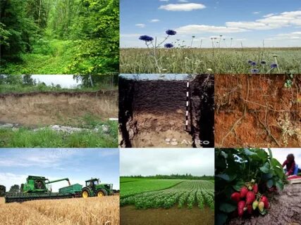 Почва и почвенные ресурсы 8 класс география