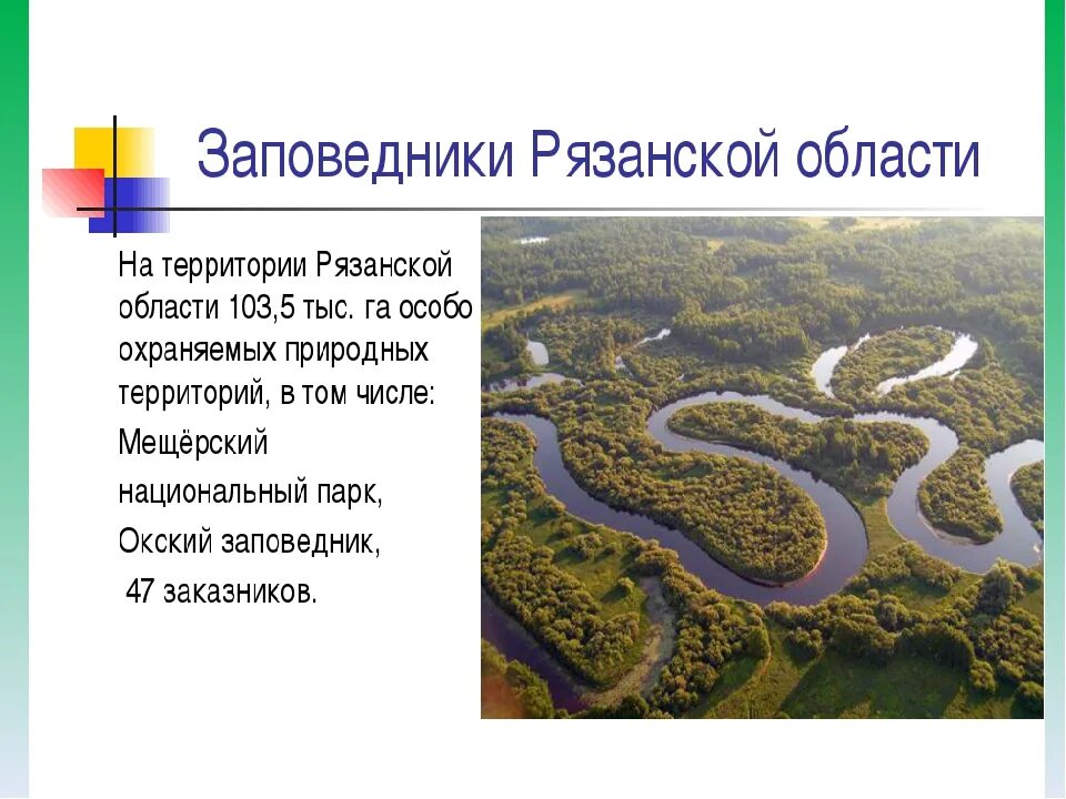 Заповедники и национальные парки Рязанской области. Проект заповедник. Национальные парки России проект.