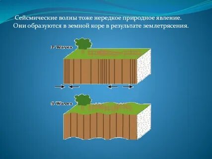 Виды землетрясений сейсмические волны