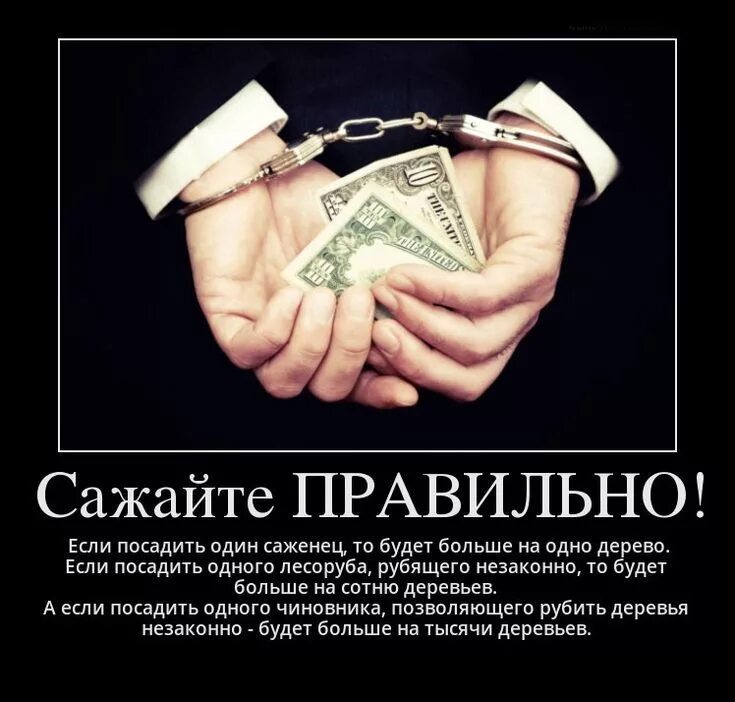 Цитаты про взятки. Цитаты про взятки