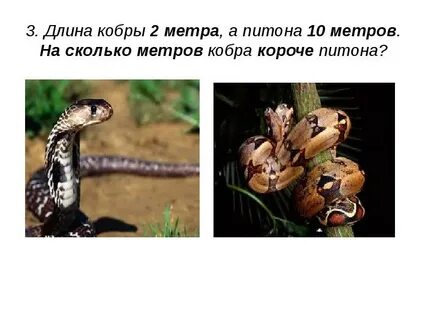 Уж сколько лет