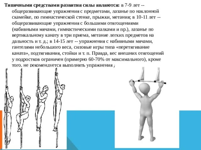 Развитие относительной силы. Средства развития силы в физкультуре. как развить силу. сила реферат по физкультуре.