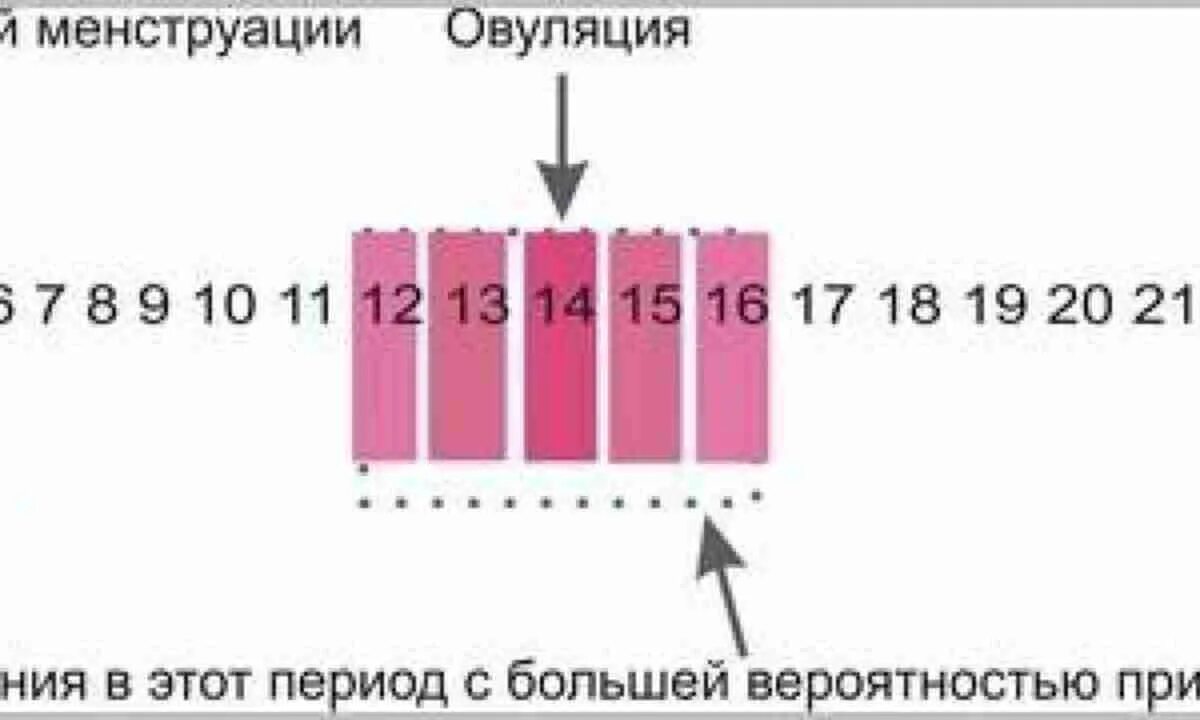 Начались месячные сразу после месячных. Вероятность беременности в овуляцию. Вероятность забеременеть после месячных. Зачатие в день овуляции вероятность забеременеть. Вероятность зачатия перед месячными.