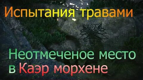Приготовьте экстракты трав ведьмак