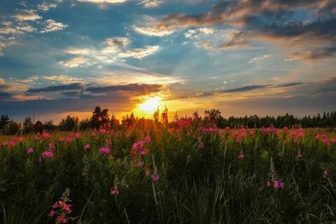 Закаты уходящего лета