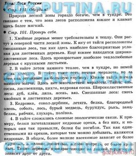 Какие экологические связи сложились в тайге 4