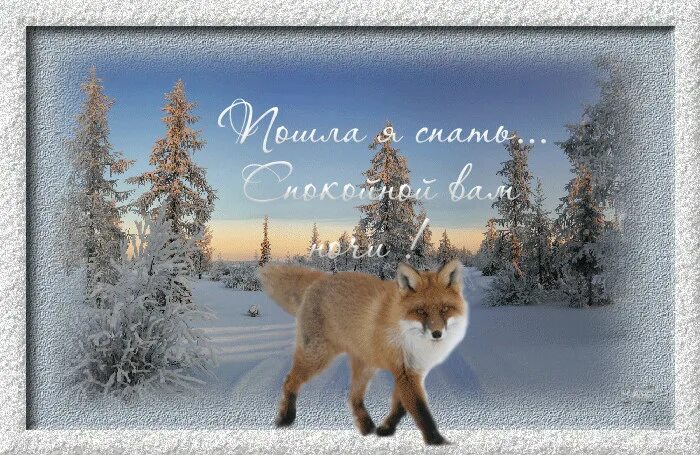 Спокойной ночи зимой. Открытки доброй ночи с природой зимние. Открытки доброй ночи с природой зимние. Доброй зимней ночи. Доброго снежного вечера.