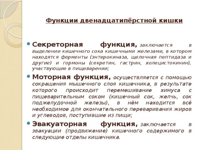 Строение и функции двенадцатиперстной кишки кратко. Строение 12 перстной кишки кратко. Функции 12 перстной кишки. 12 Ти перстная кишка функции кратко.