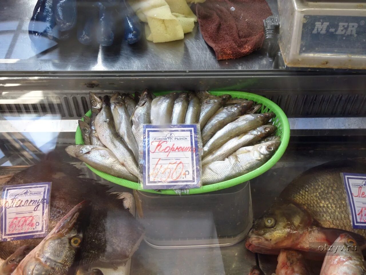 Корюшка санкт петербург где купить недорого. Сенной рыбный рынок. Рыба на Сенном рынке. Рыба корюшка в магазине. Корюшка на рынке.