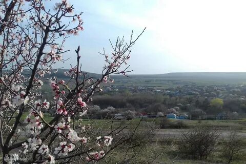 Поляны ставрополя