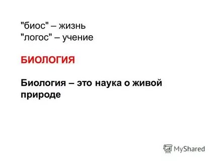 Ничего б