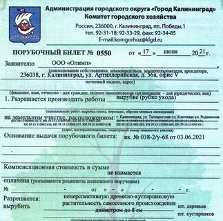 Срок порубочного билета