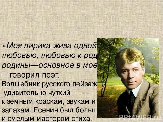 Стих есенина сыплет черёмуха снегом. Стихотворение сергея есенина русь. Запахи в стихотворениях есенина. Запахи в стихотворениях есенина. Стихи есенина о яблоках.
