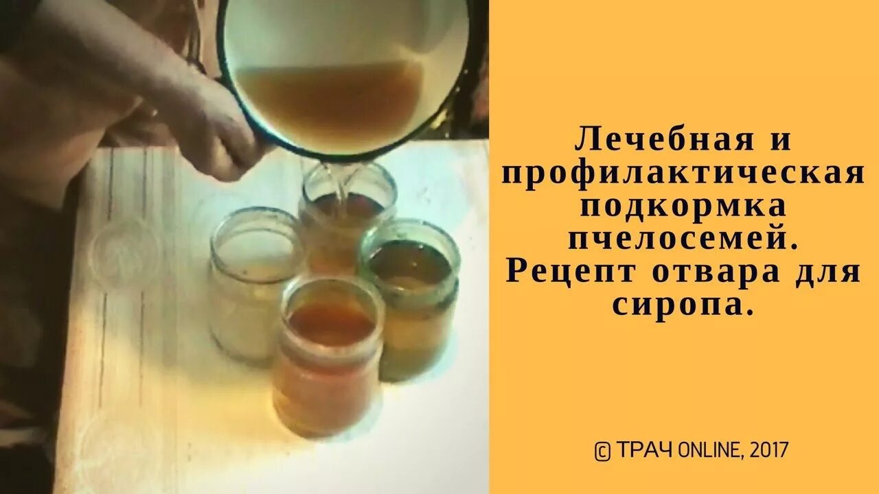 Подкормка пчел полынью. Подкормка пчел сахарным сиропом. отвар полыни для пчел. экстракт для сиропа пчел. сироп для пчел.