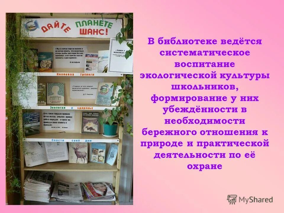 День друзей библиотека. Экологические мероприятия в библиотеке. Мероприятия по экологии в библиотеке. Проект по экологии в библиотеке. Книжная выставка экология в библиотеке.