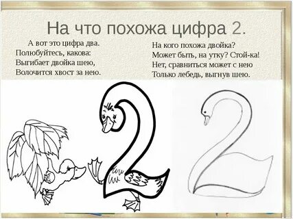 Пропорции цифры 2