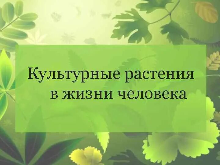 Книги откудьтурных растениях. Книнм о культуреых растения. Книги о культуреых растениям. Книги о культурных раст. Шустов культурные растения читать