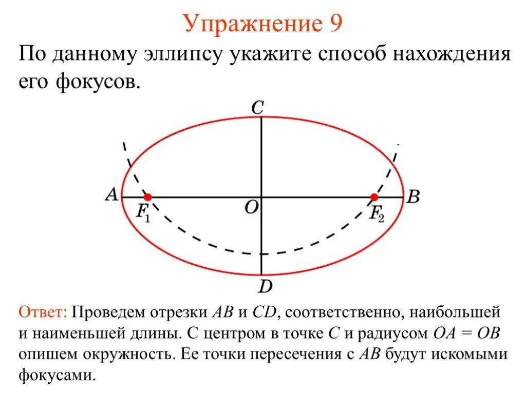 Центр овал