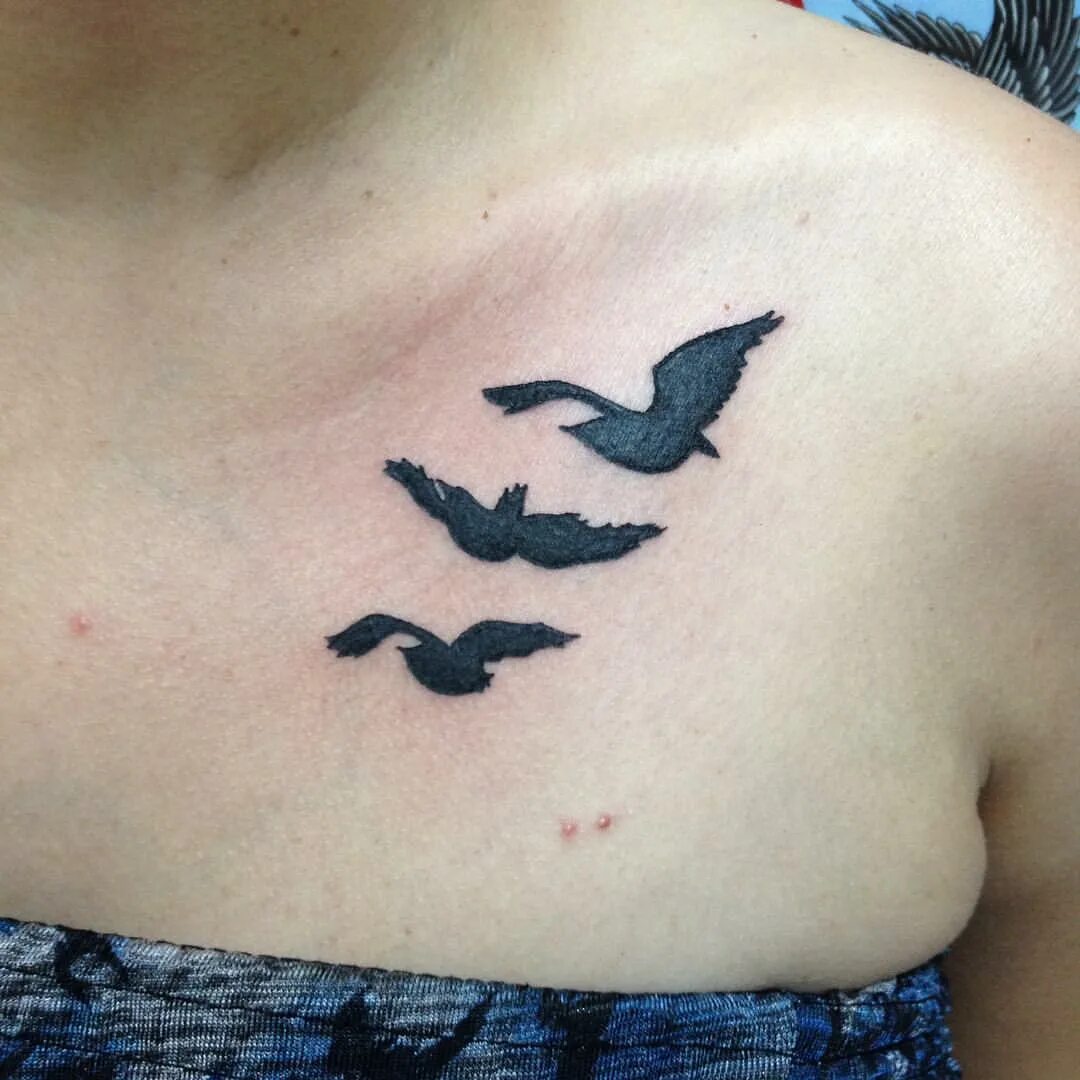 Тату чайка. Тату чайка маленькая. Тату чайка значение. Символ чайки тату. Тату чайка.