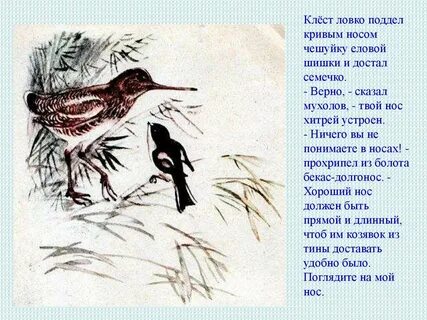 Загадка я боюсь долгоносой вороны