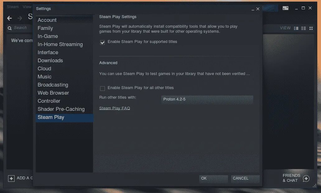 Steam settings. Game settings. Steam Setup. Steam account settings. Enabled ru