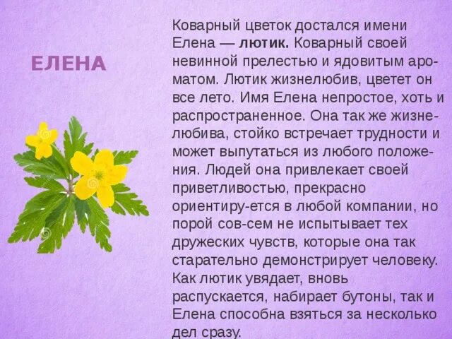 Elena перевод. Что означает имя Лена.