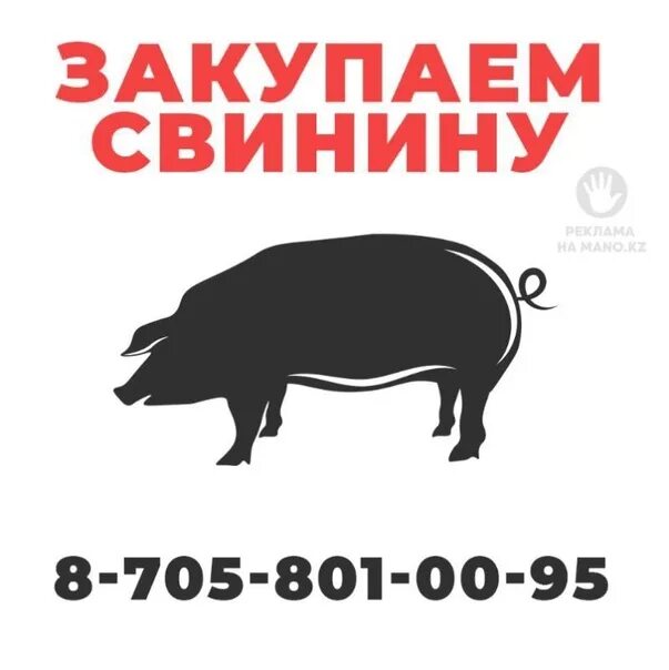 Приму свинину. Визитка свинина. Закупаем мясо объявления. Реклама закуп мяса. Визитка закуп мяса.