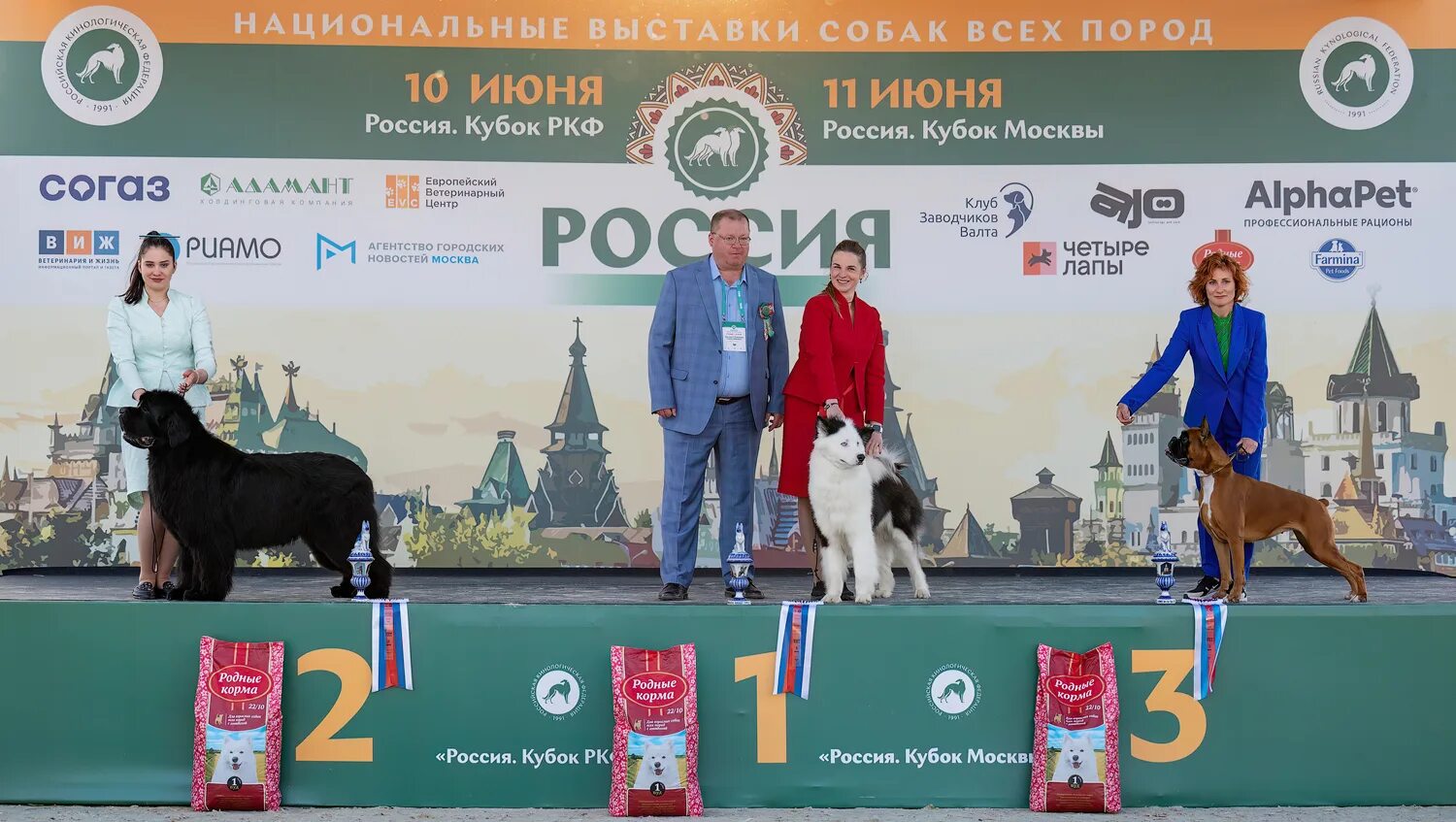 Выставка собак Россия. На выставке собак. Выставка собак Россия 2023. Популярные собаки.