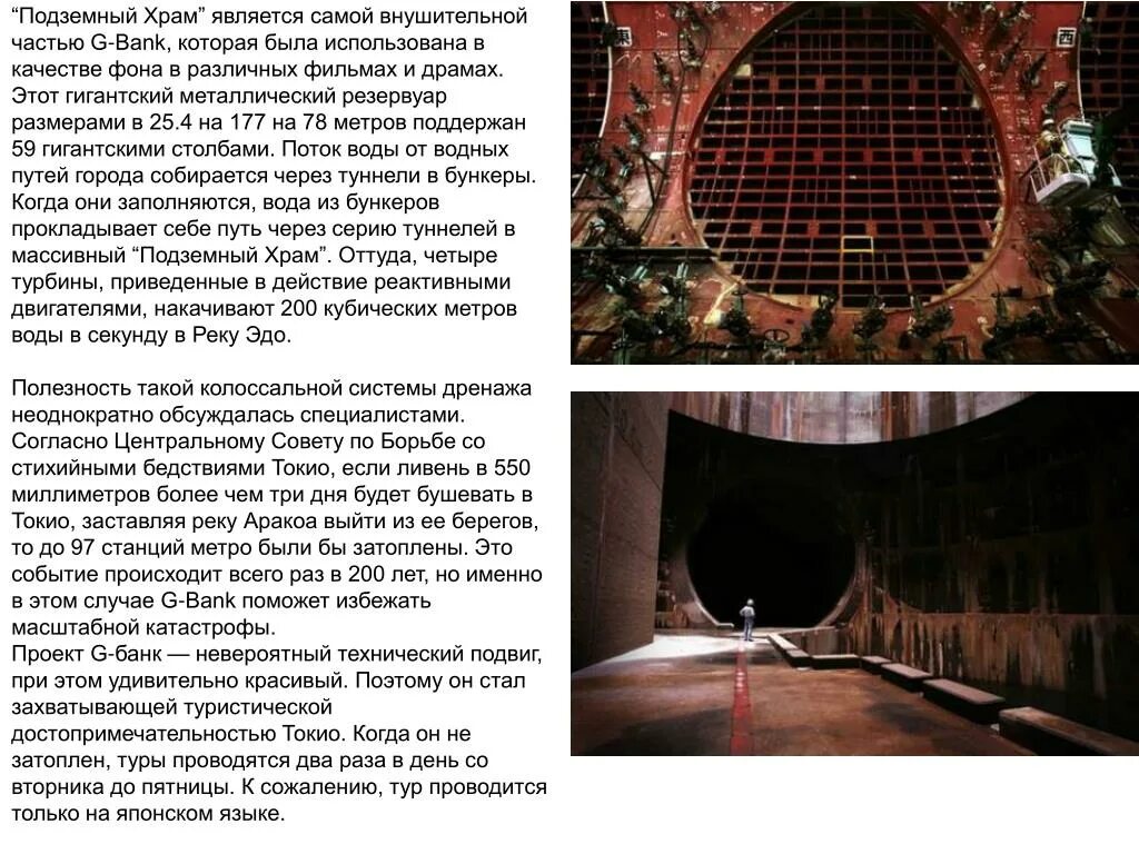 PPT - Тема 2. Экологический кризис: проблемы глобальных городов PowerPoint Prese