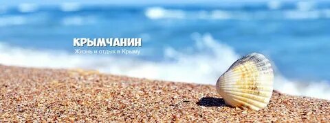 Ракушка предложение