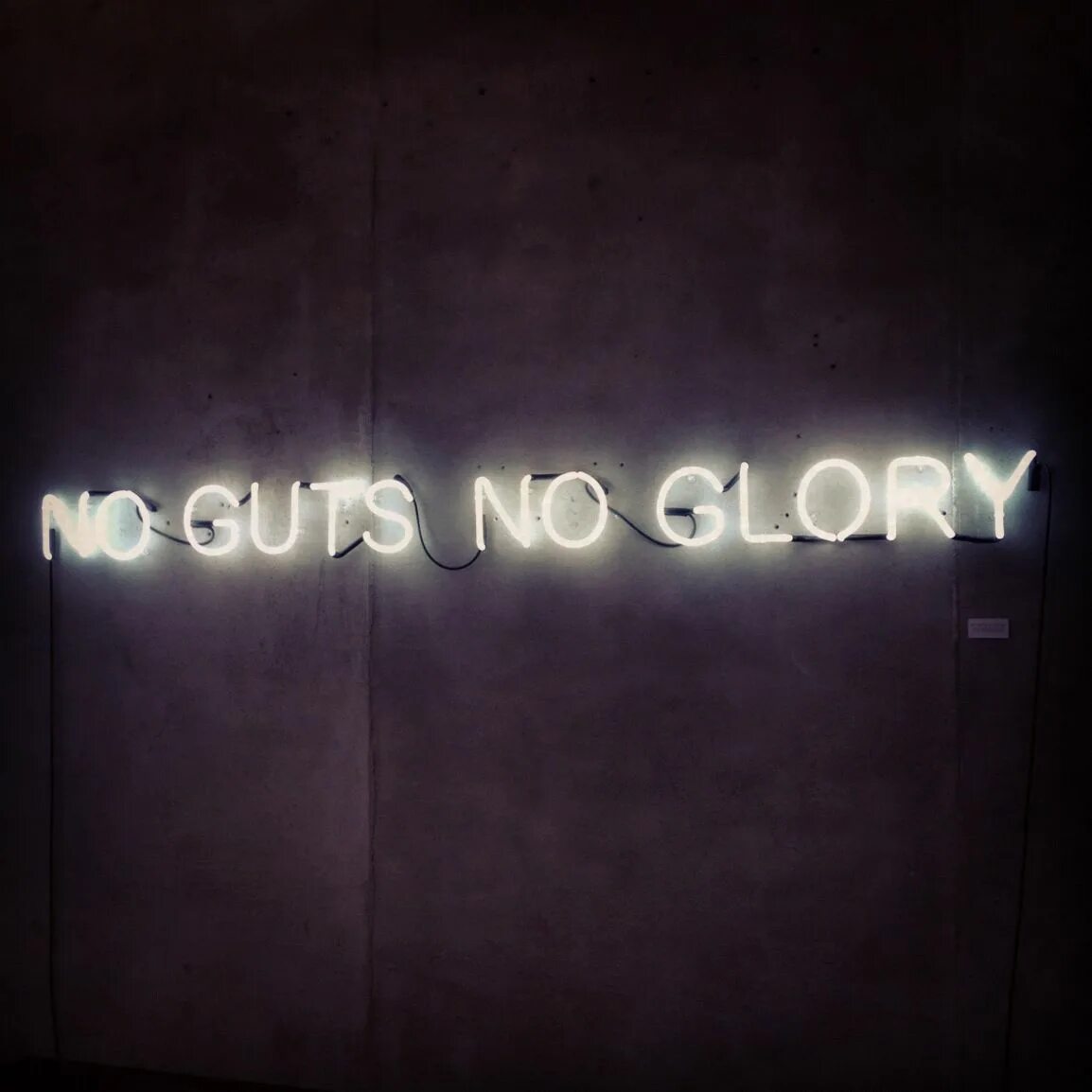 No Guts no Glory. No Guts no Glory перевод. No Guts no Glory обои. No Glory фанфик. Глори перевод