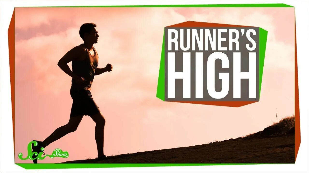 Hi run. Runners high. the years of the runners картинки. run high fight. run highball.