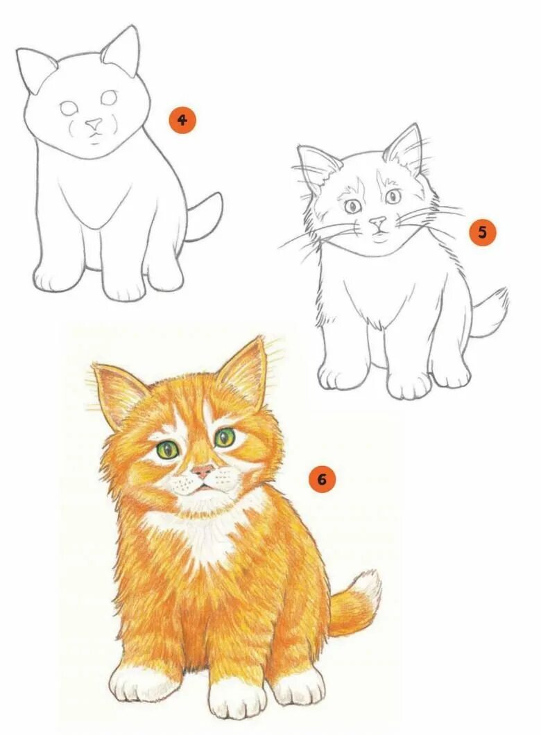 Нарисовать рисунок 6. Поэтапный рисунок котенка для детей. Поэтапное рисование котенка для детей. Кошка для рисования для детей. Рисование для 8 лет.