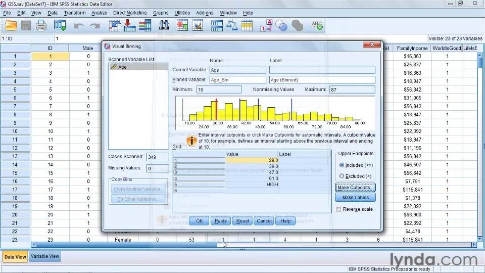 Программа тин. Интерфейс спсс. Пакет SPSS. SPSS Интерфейс программы. Пакет спсс.