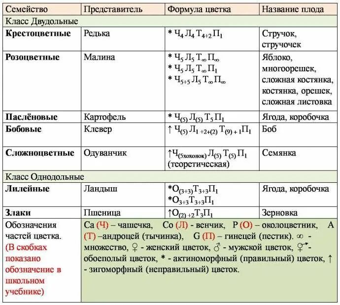 В корне какого из перечисленных