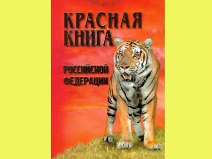 Международная красная книга рабочий лист 4 класс