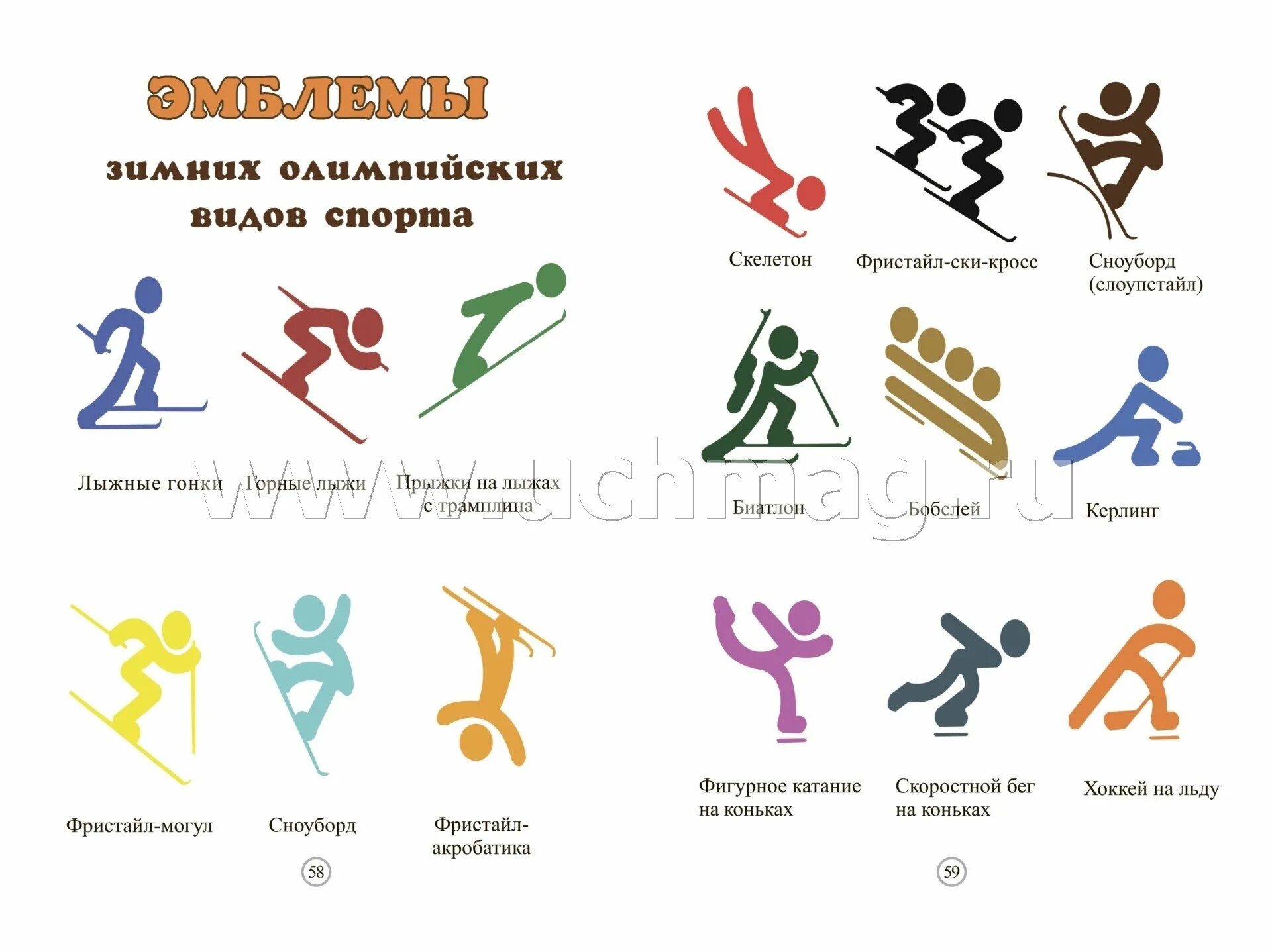 Зимние Олимпийские виды спорта. Значки Олимпийских видов спорта. Олимпийские изображения видов спорта. Символы зимних видов спорта.