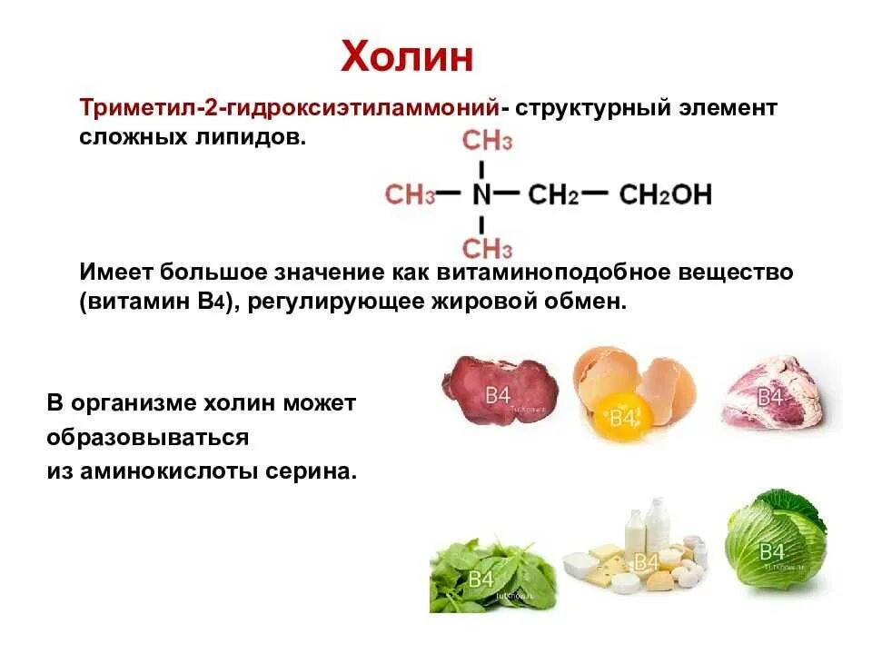 Витамин в4 продукты. Витамин в4 Холин формула. Холин хлорид (витамин в4). Холин химическая формула. Холин химическое строение.