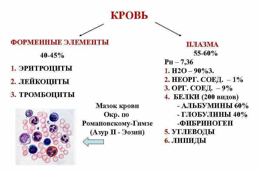 Назовите тип элемента