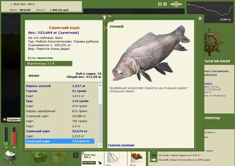 Карп русская рыбалка 3. Русская рыбалка Installsoft Edition 3.7.6. Рыбхоз Константиново что ловится. Сиамский Карп Деревенские просторы. На что ловить сиамского карпа.