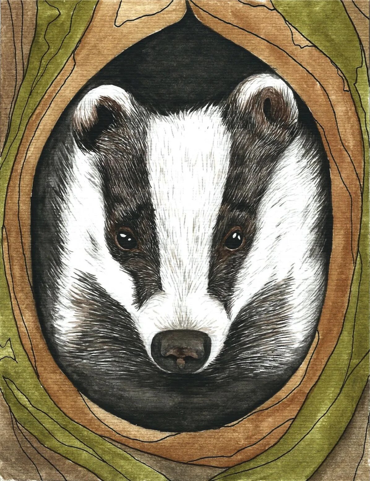 барсук рисунок. барсук рисунок для детей. барсук поэтапное рисование. барсук легких. барсук карандашом.