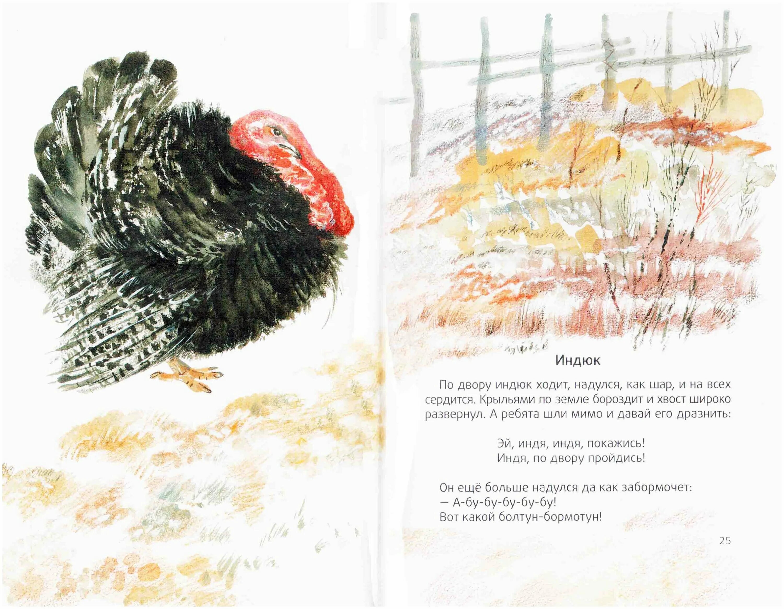 Е. Чарушин курочка рассказ. Как на нашем на дворе были. На нашем дворе книга. Г ладонщиков стихотворение.