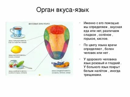 Язык биологии схема
