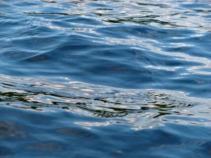 Surface waters