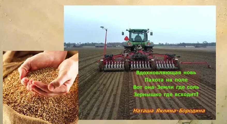 Сеятель на руси. Посев зерна в старину. Сеятель на руси. Крестьянин сеятель. Сеяных хлебов.